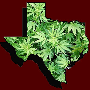 texas-supports-marijuana