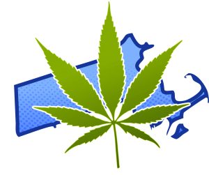 Legal Marijuana Massachusetts