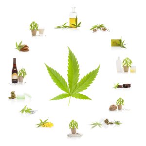 Cannabinoids Facts