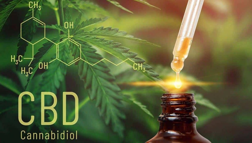CBD Vs Marijuana